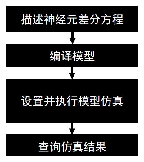 神经元仿真流程图